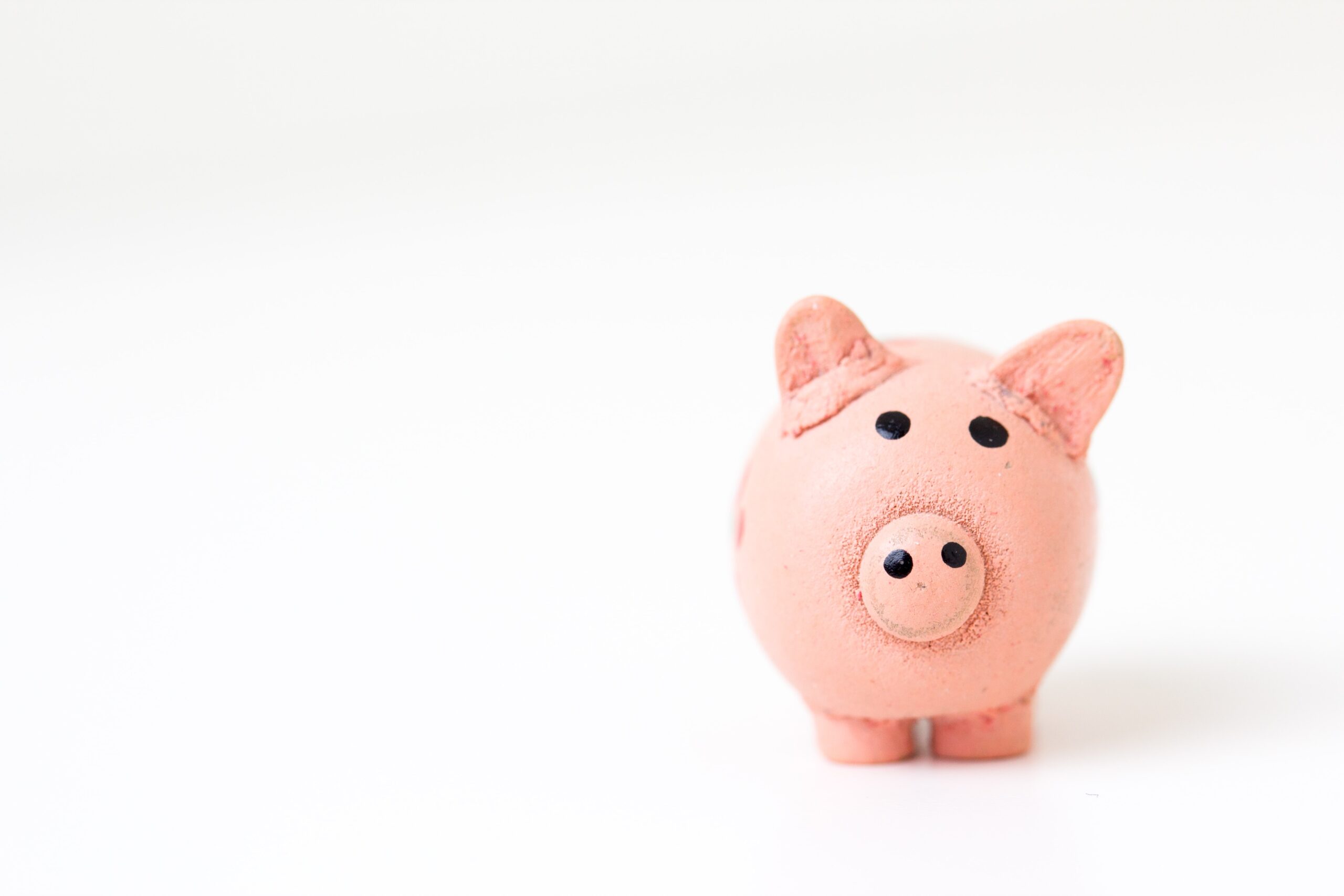 pink piggy bank for januworry