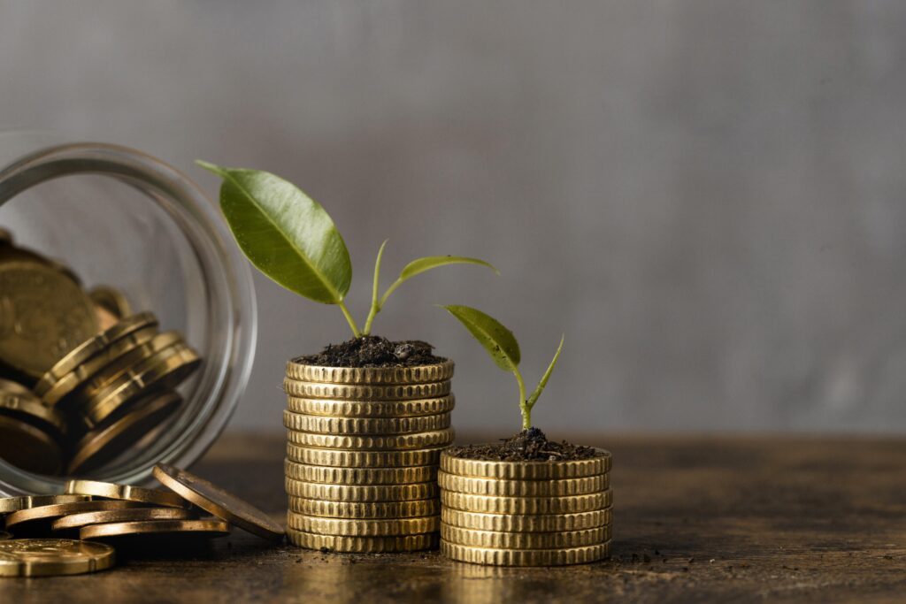 front view of two stacks of coins with jar plants